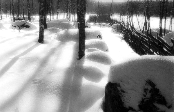 Glacial Erratics
