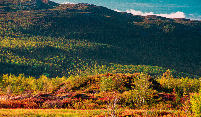 Wonders In Finland's Nature © Risto Lounema Suomen luonnon ihmeitä