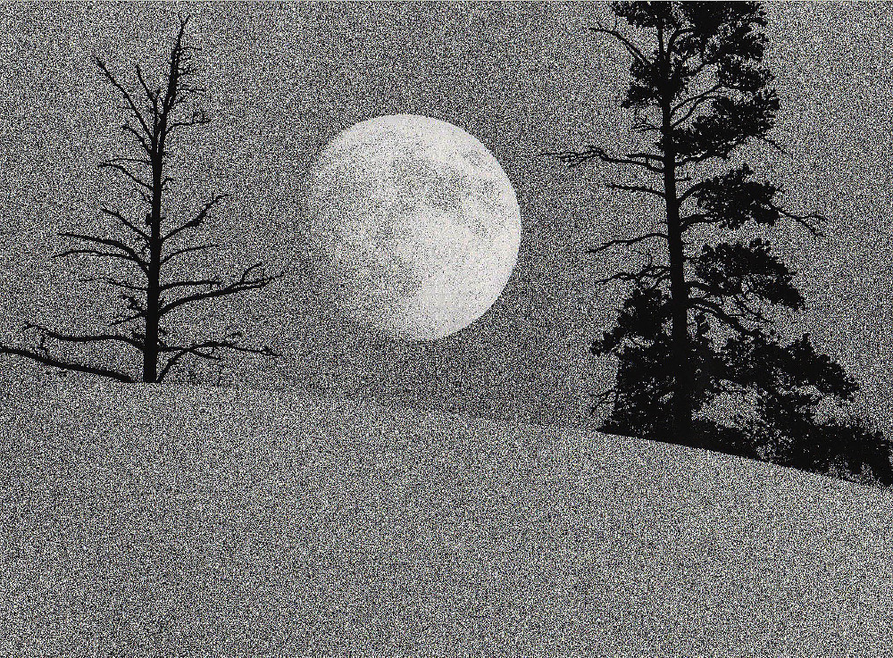 The Moon and the Woodpecker © Risto Lounema kelo ja kuu